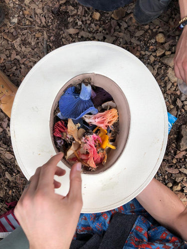 RECORRIDOS MICOTURISTICOS