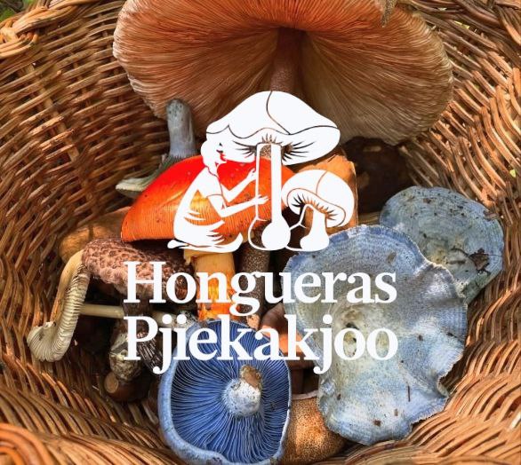 Hongueras Pjiekakjoo