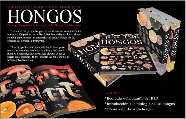 Libros, Revistas y Posters.