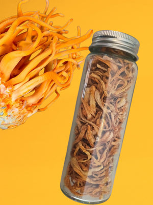 Abrir la imagen en la presentación de diapositivas, Cordyceps Deshidratado
