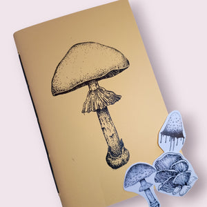 Abrir la imagen en la presentación de diapositivas, Libreta Fungi
