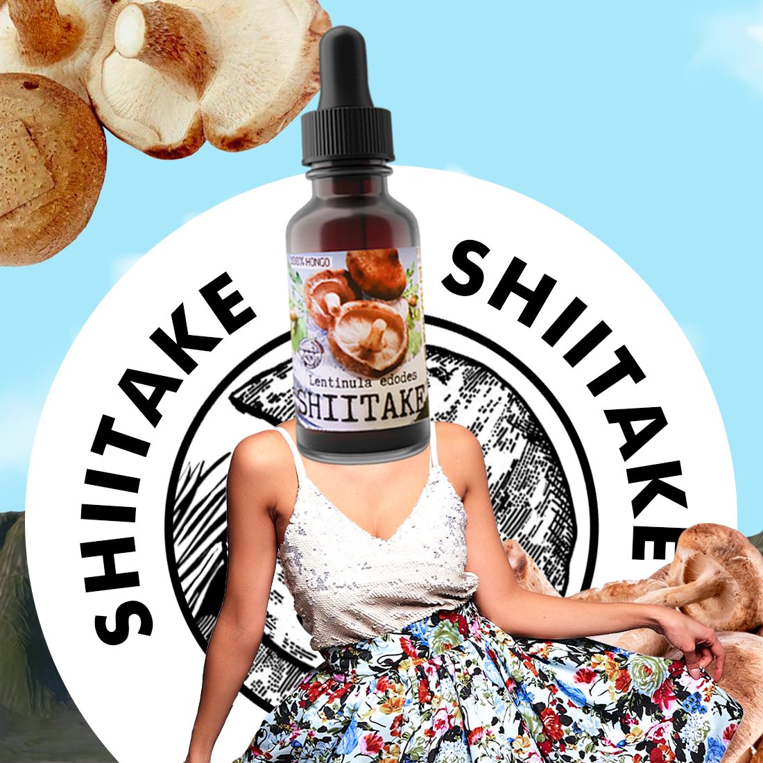 SHIITAKE EXTRACT (LENTINUS EDODES)