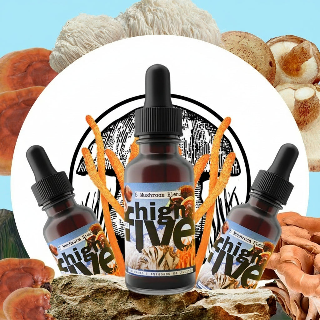 HighFive Extract (Mix of 5 Functional Mushrooms) – Fungi People