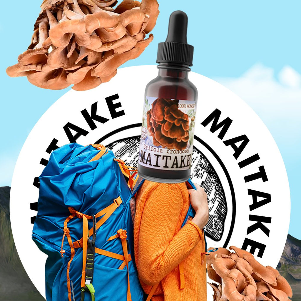 MAITAKE EXTRACT (GRIFOLA FRONDOSA)