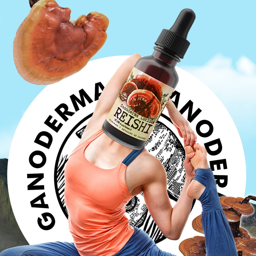 GANODERMA REISHI EXTRACT
