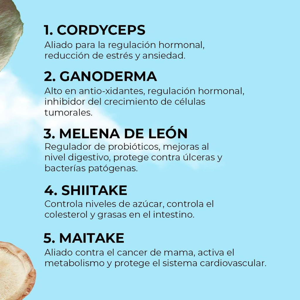 HighFive Extract (Mix of 5 Functional Mushrooms)