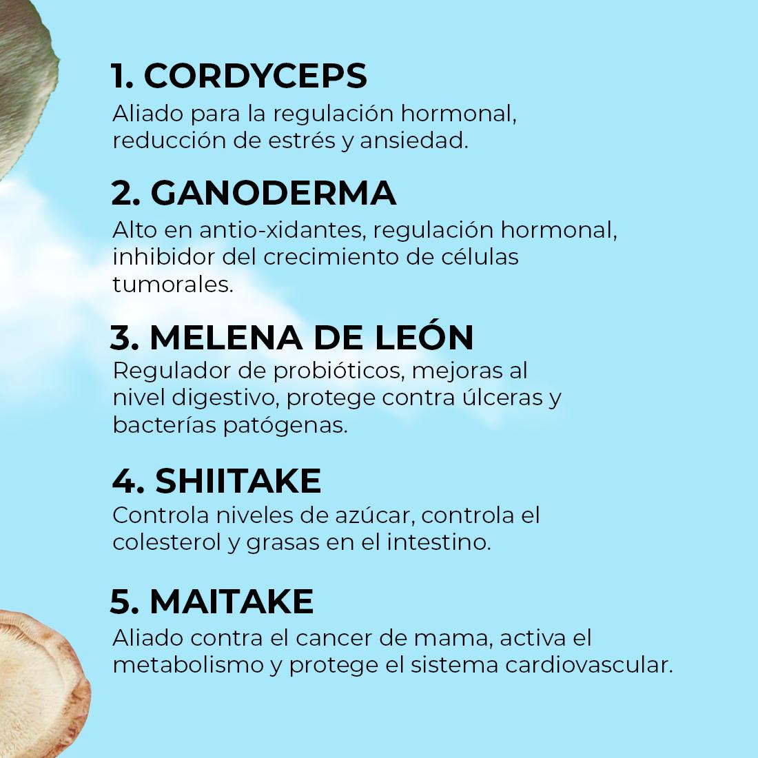 HighFive Extract (Mix of 5 Functional Mushrooms)