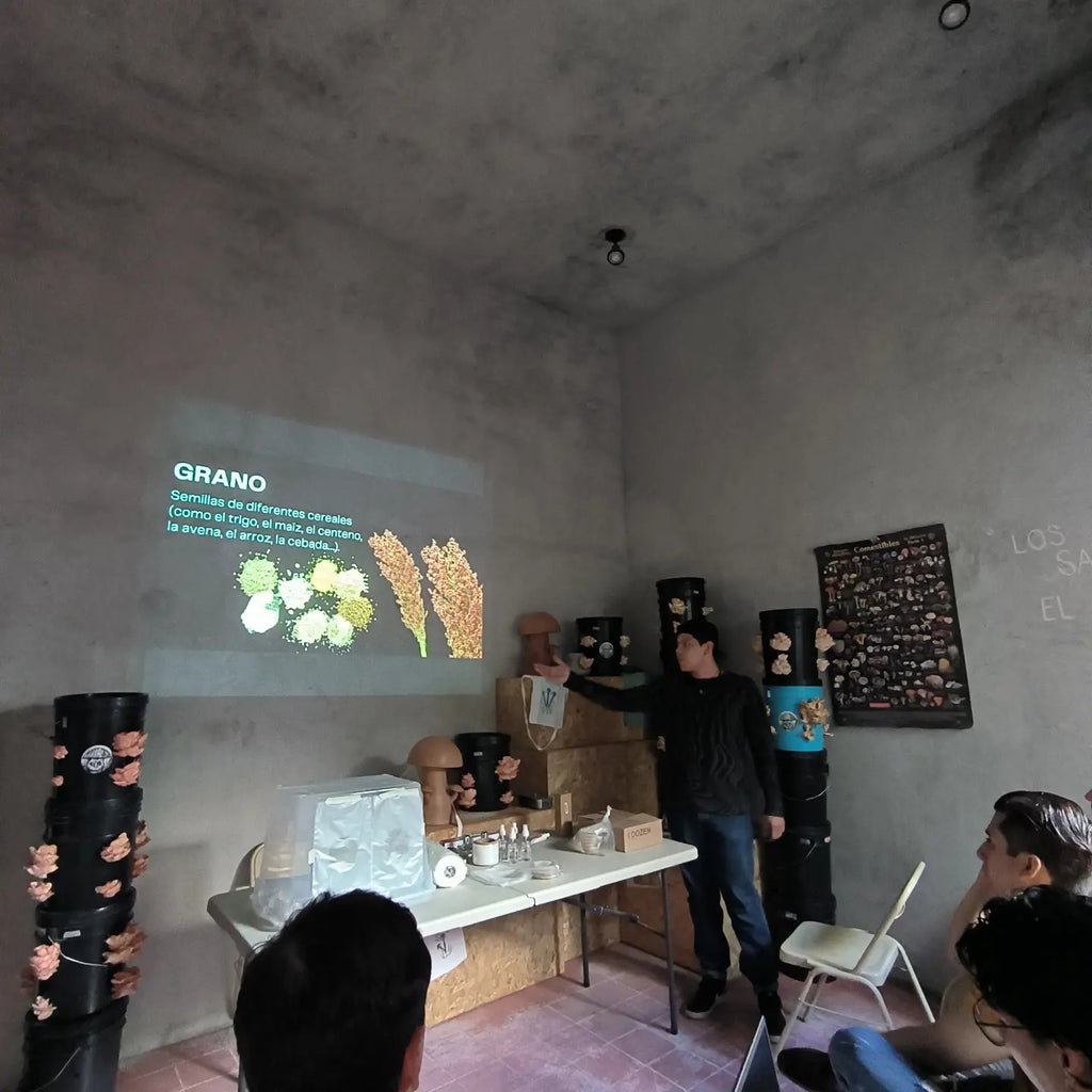 TALLER DE CULTIVO PRINCIPIANTES en linea