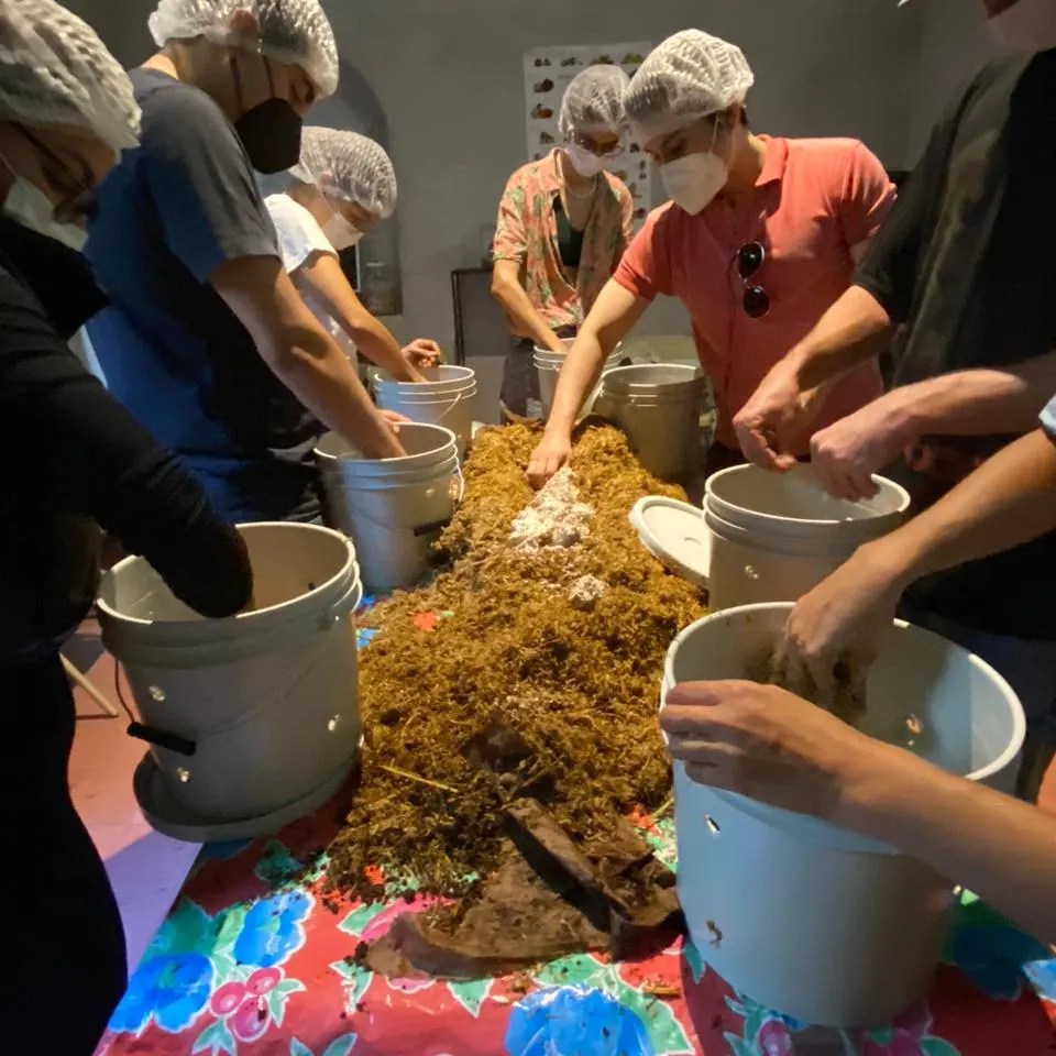 IN-PERSON CULTIVATION WORKSHOP FOR BEGINNERS