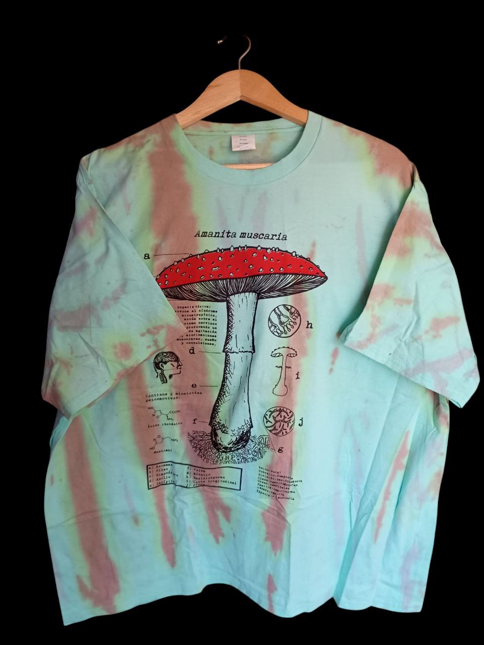 Amanita Muscaria Regular T-shirt