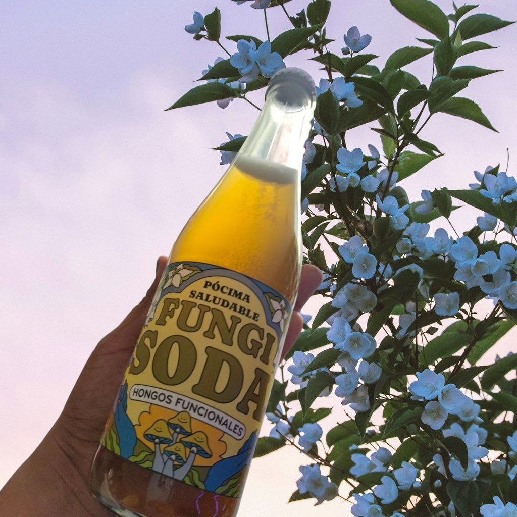 Fungi Soda 350 ml
