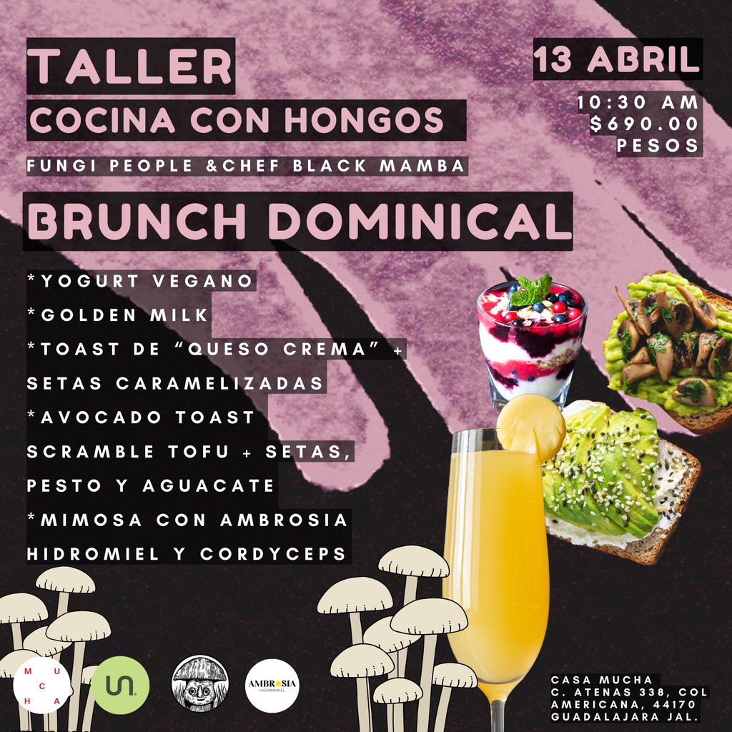 TALLER DE COCINA CON HONGOS