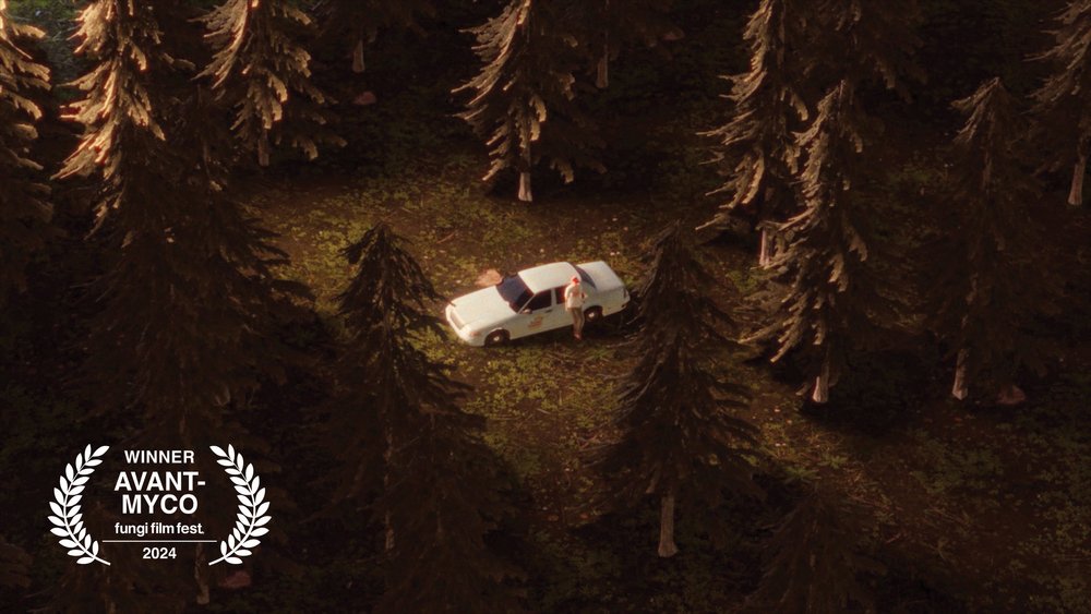 FUNGI FILM FESTIVAL IN MEXICO 🍄