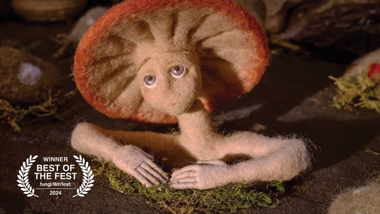 FUNGI FILM FESTIVAL IN MEXICO 🍄