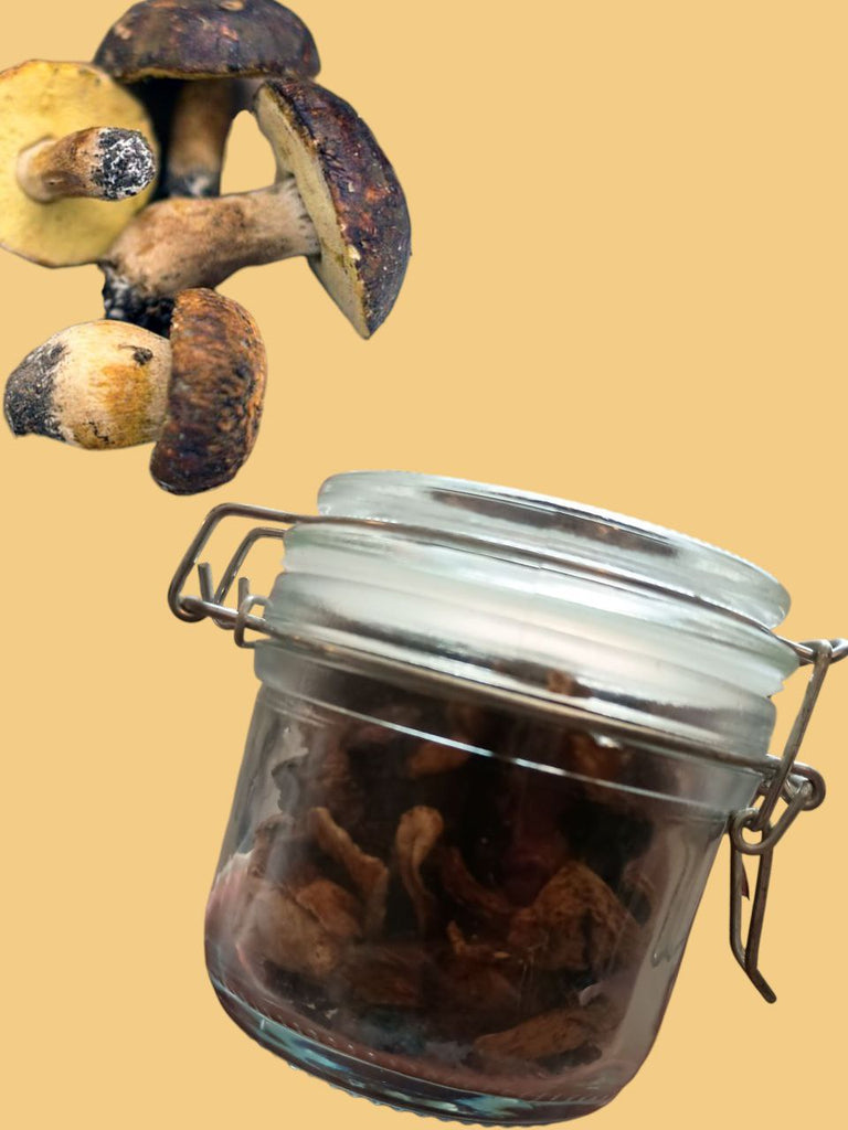 Porccini_hongo_deshidratado