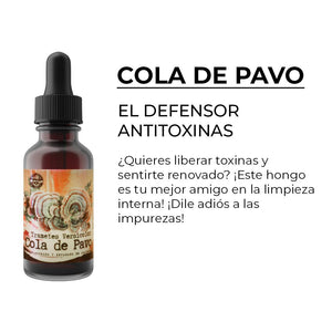 EXTRACTO COLA DE PAVO (TURKEY TAIL)