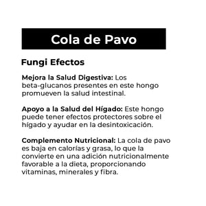 EXTRACTO COLA DE PAVO (TURKEY TAIL)