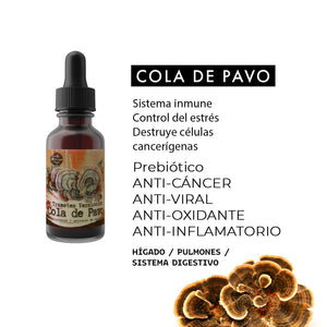 Abrir la imagen en la presentación de diapositivas, EXTRACTO COLA DE PAVO (TURKEY TAIL)
