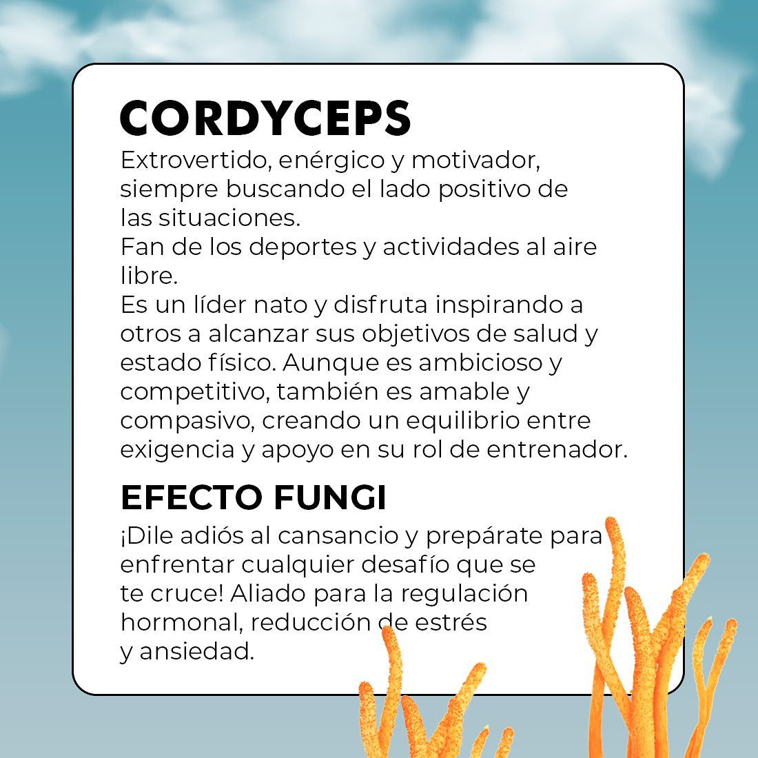 CORDYCEPS MILITARIS Adaptogen Extract