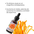 Extracto Adaptogeno CORDYCEPS MILITARIS