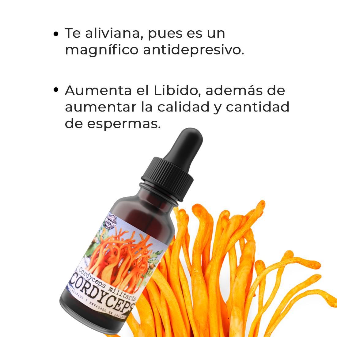 CORDYCEPS MILITARIS Adaptogen Extract