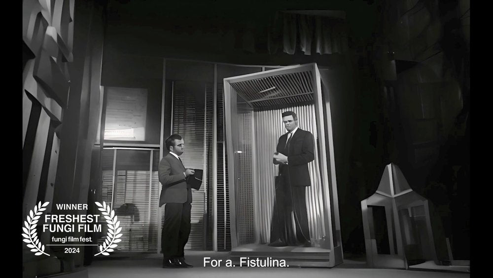 FUNGI FILM FESTIVAL IN MEXICO 🍄