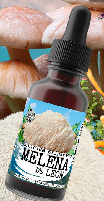 LION'S MANE EXTRACT