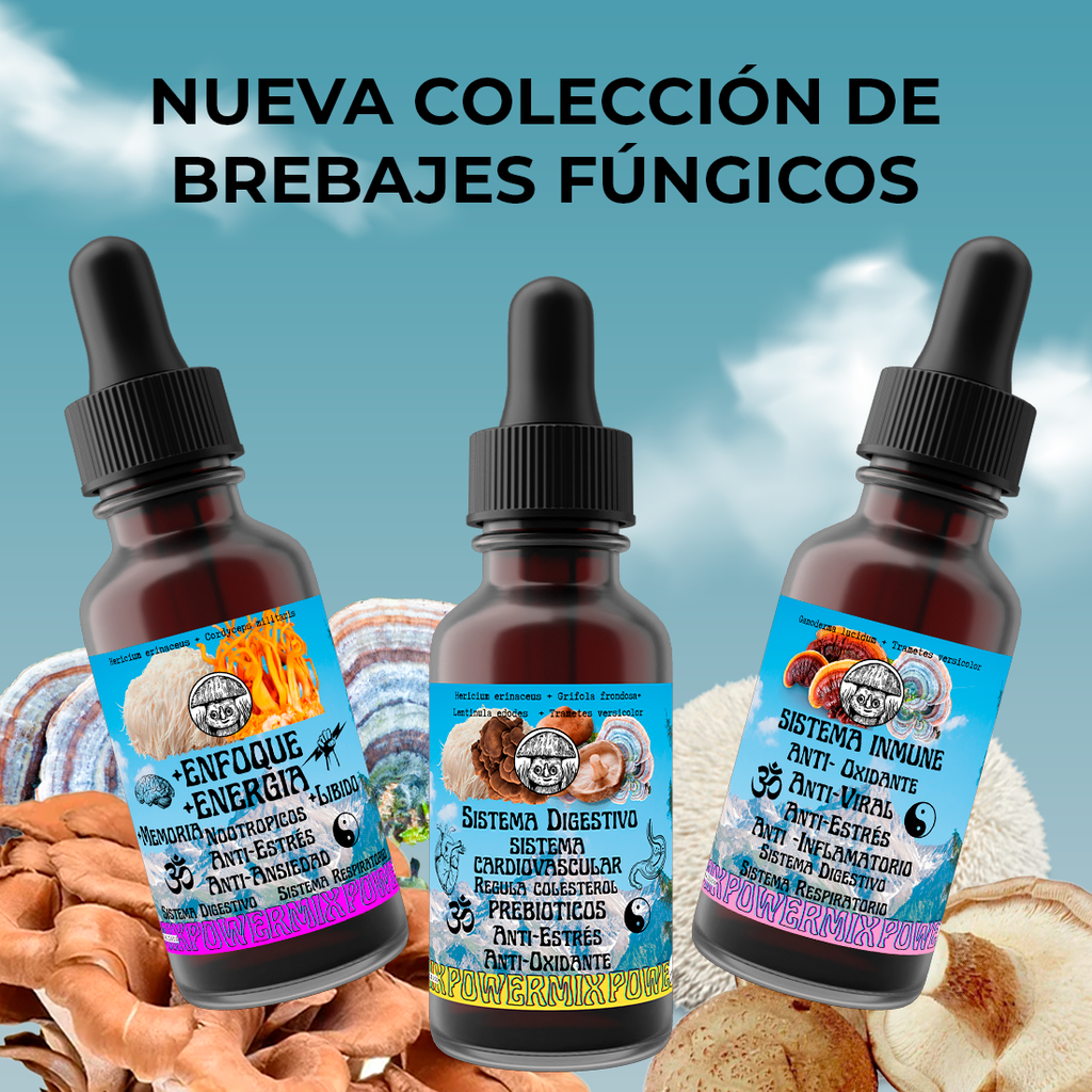 Powermix Focus Extract