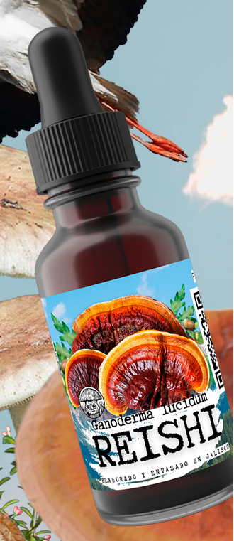 GANODERMA REISHI EXTRACT