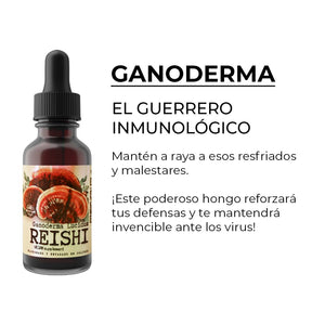 EXTRACTO DE GANODERMA REISHI