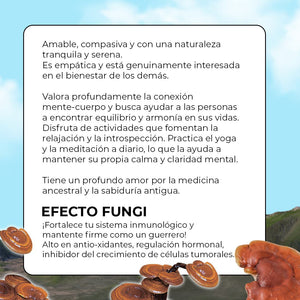 EXTRACTO DE GANODERMA REISHI