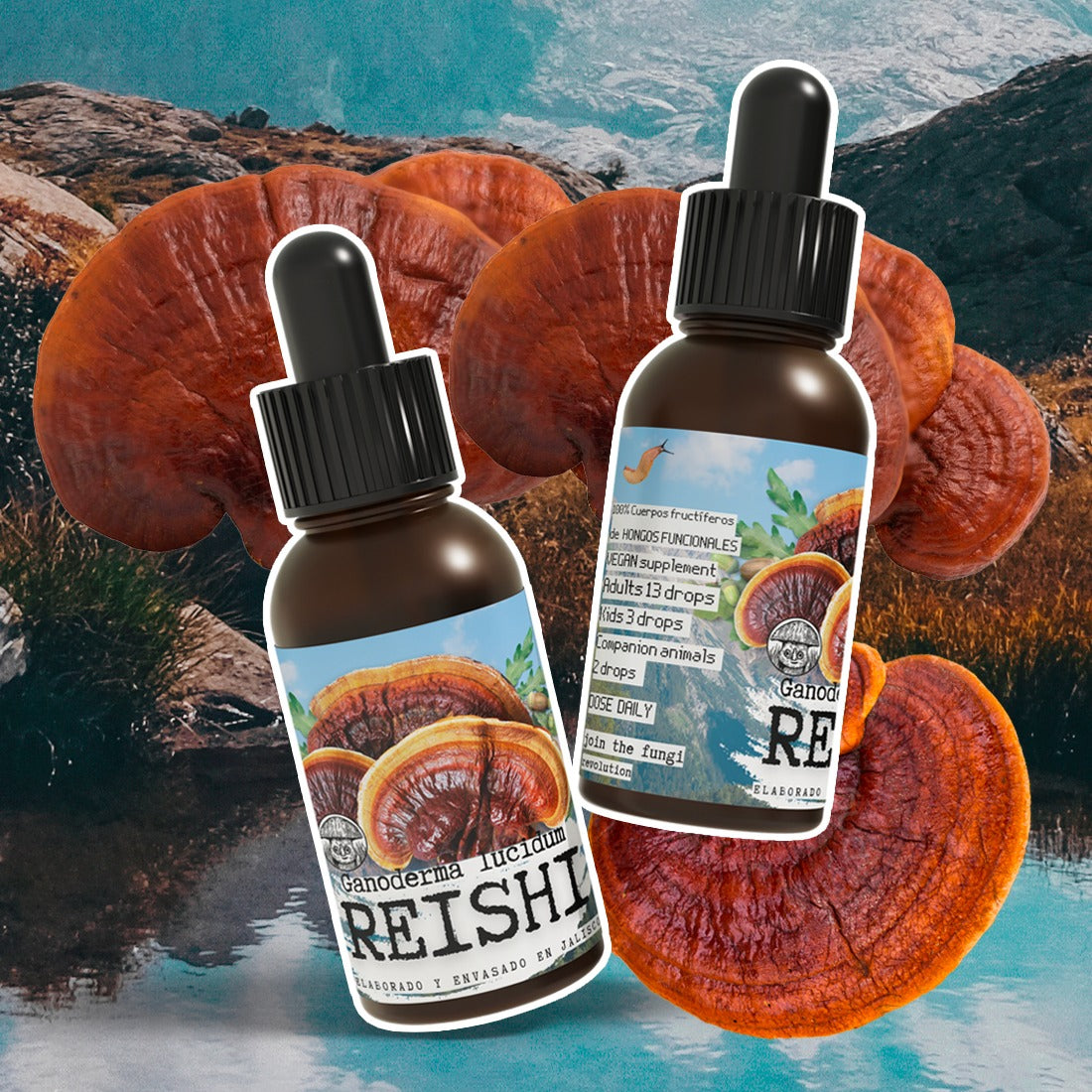 GANODERMA REISHI EXTRACT