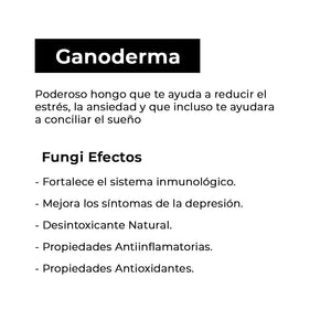 EXTRACTO DE GANODERMA REISHI