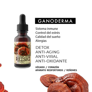 Abrir la imagen en la presentación de diapositivas, EXTRACTO DE GANODERMA REISHI
