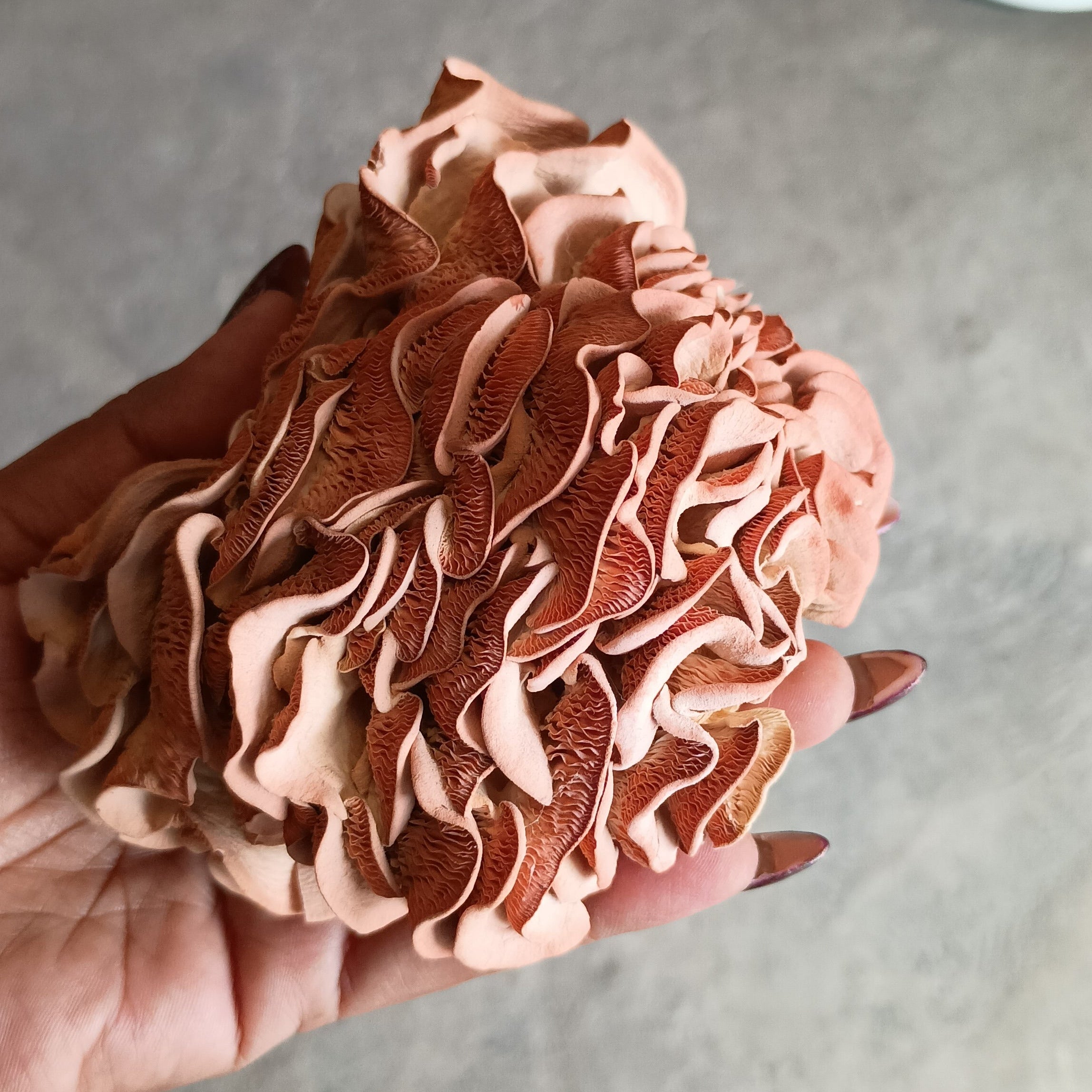 Mushroom decorative piece