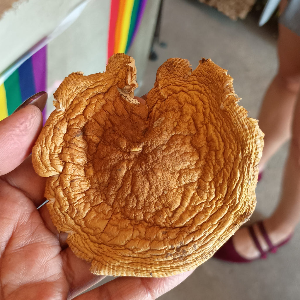 Mushroom decorative piece