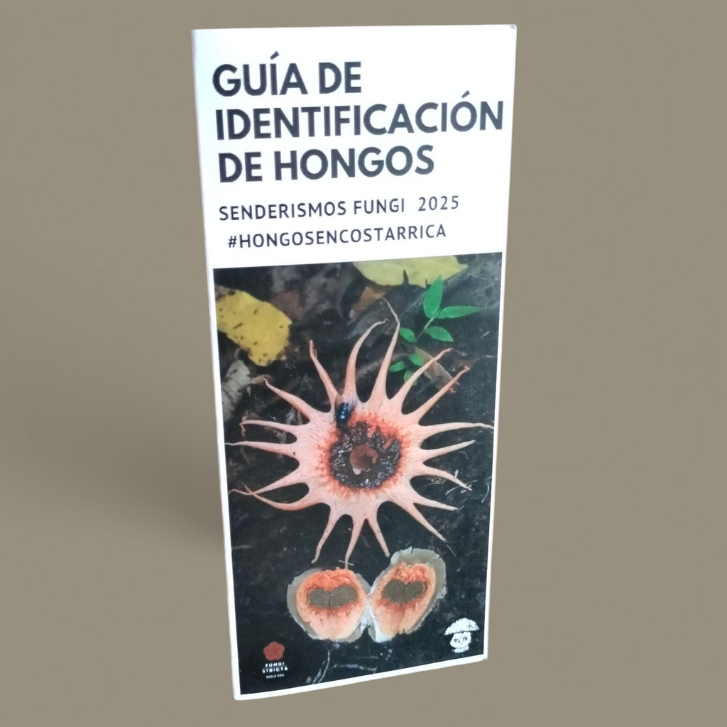 Tríptico "Guía de identificación de Hongos"