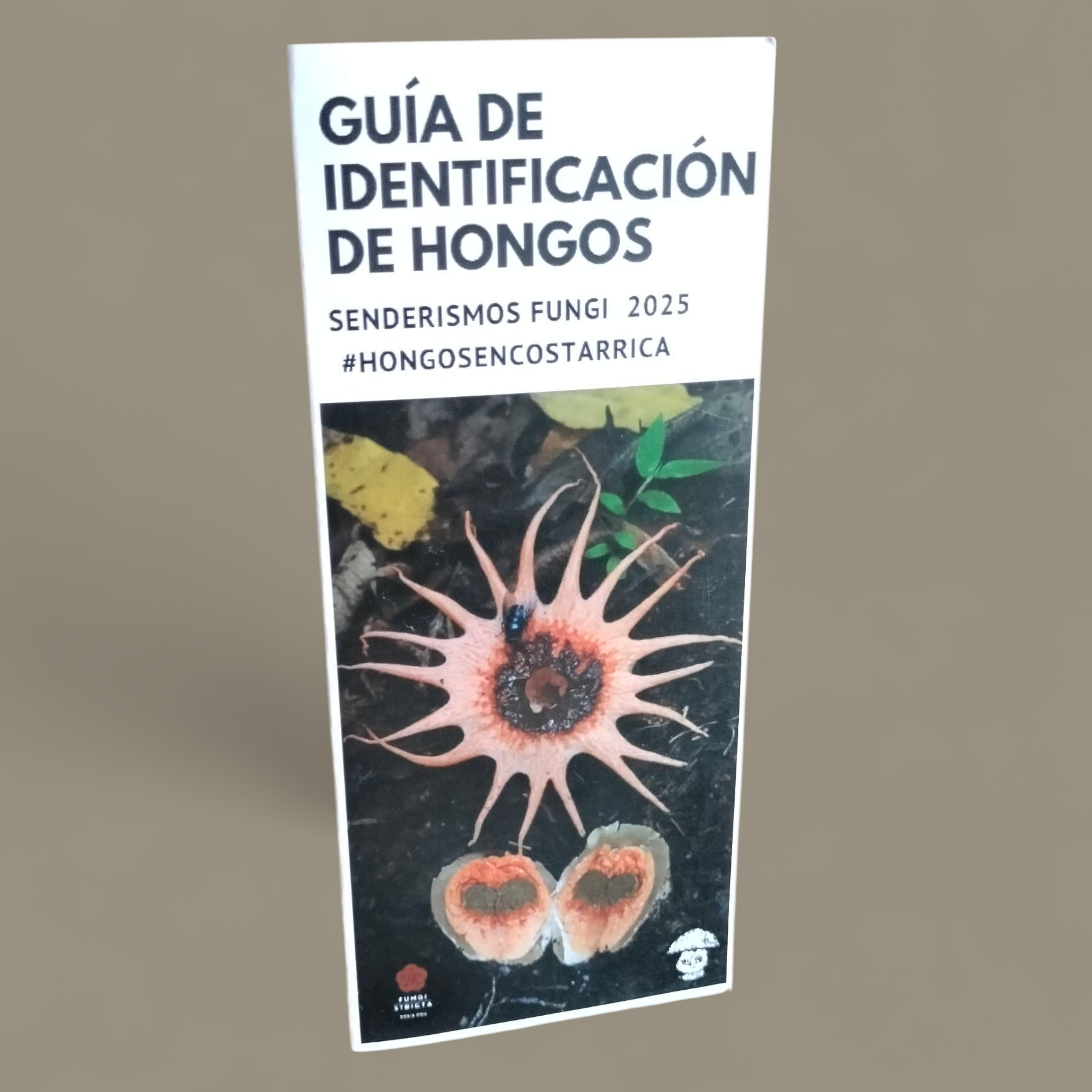 Tríptico "Guía de identificación de Hongos"