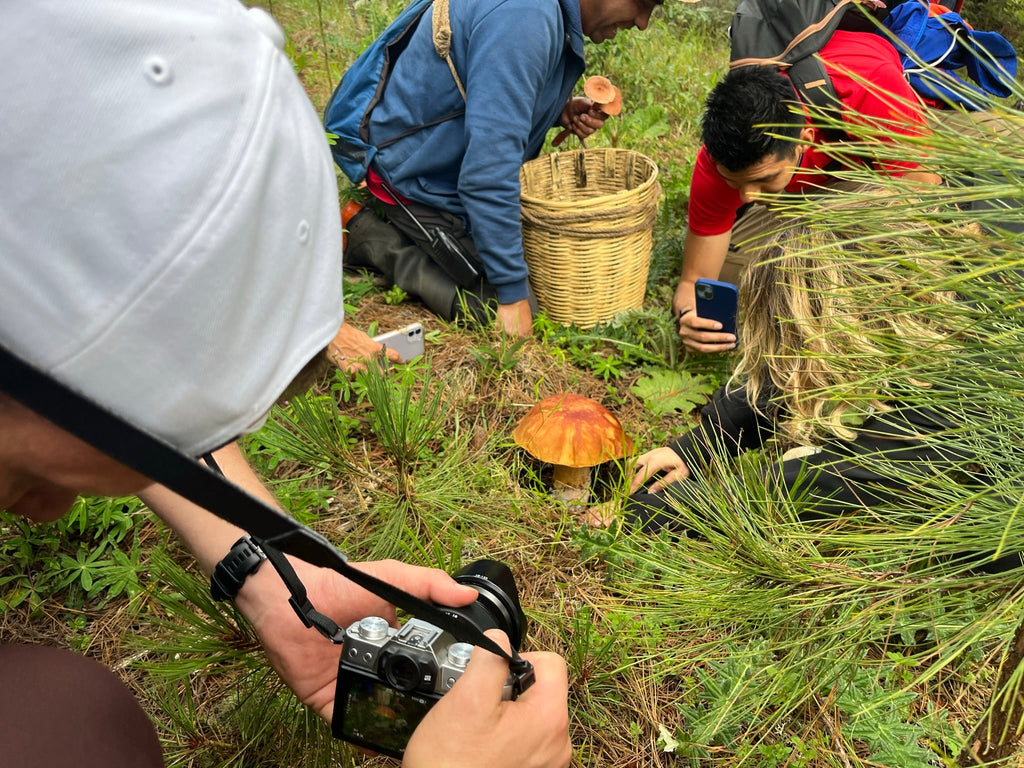 EXPERIENCIA FUNGI EN OAXACA