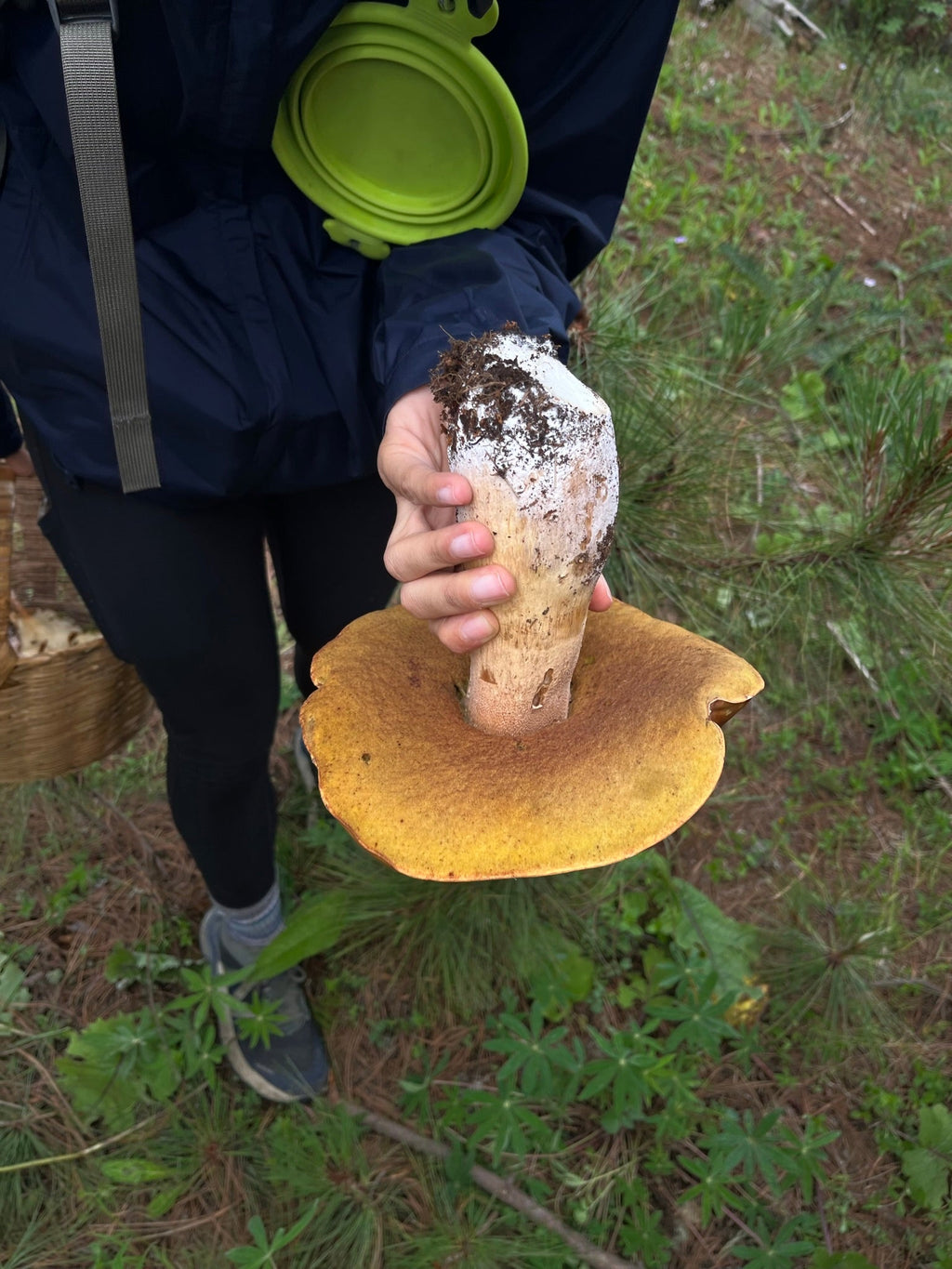 EXPERIENCIA FUNGI EN OAXACA