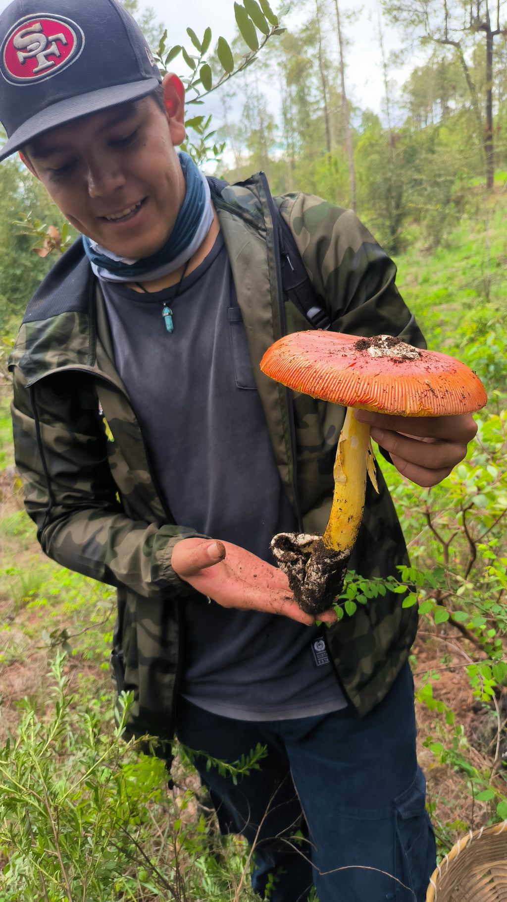 Mushrooms in Juanacatlán, Jalisco 🍄 Fungi Hiking