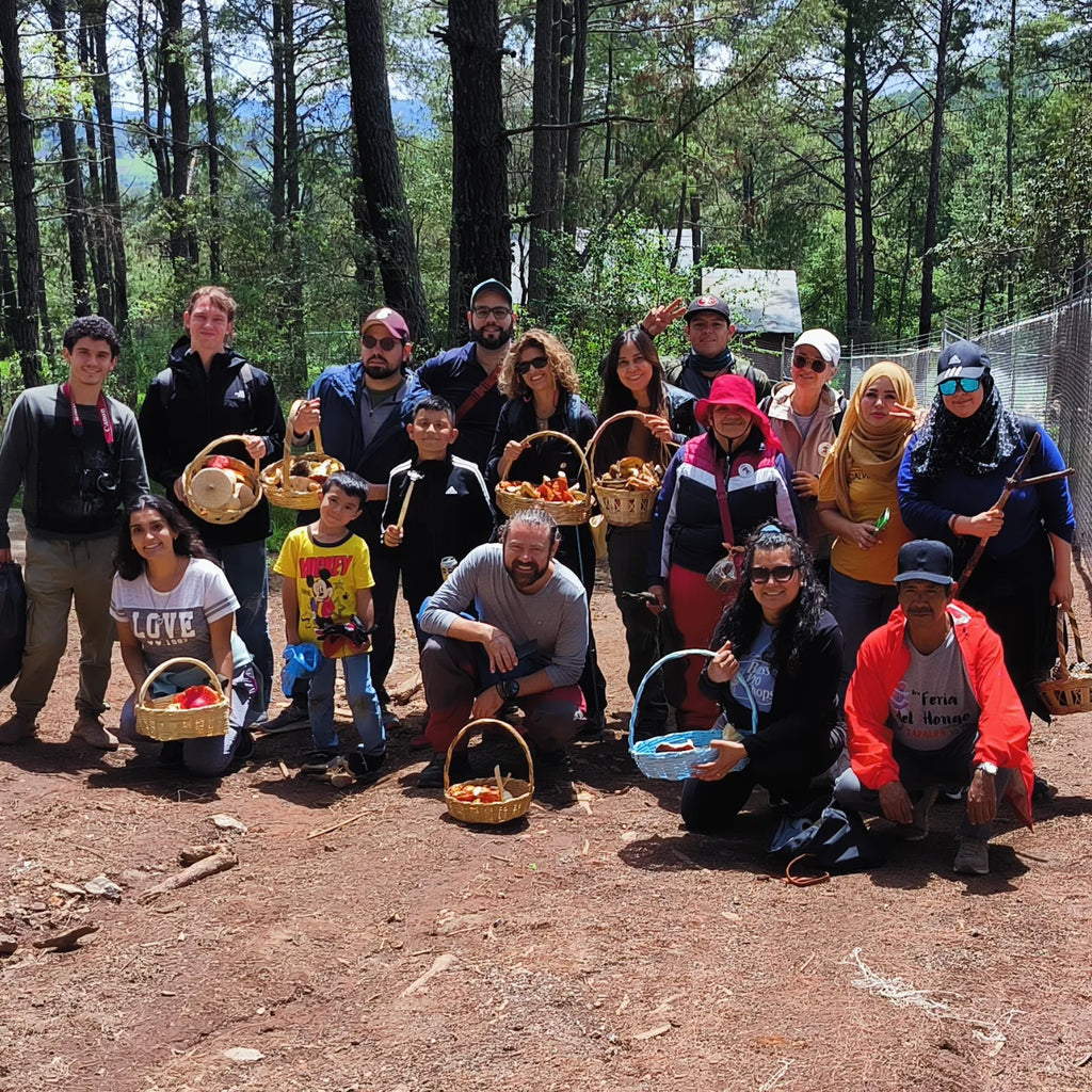 Mushrooms in Juanacatlán, Jalisco 🍄 Fungi Hiking