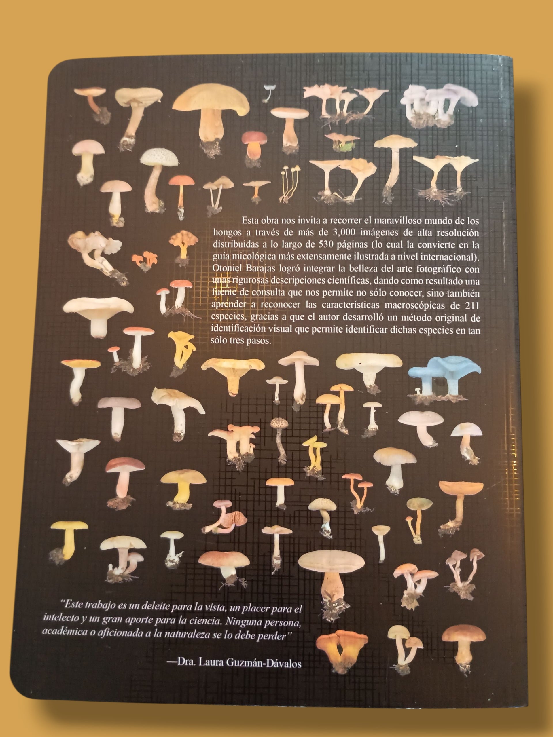 Libro "Hongos Guía de identificación" Otoniel Barajas