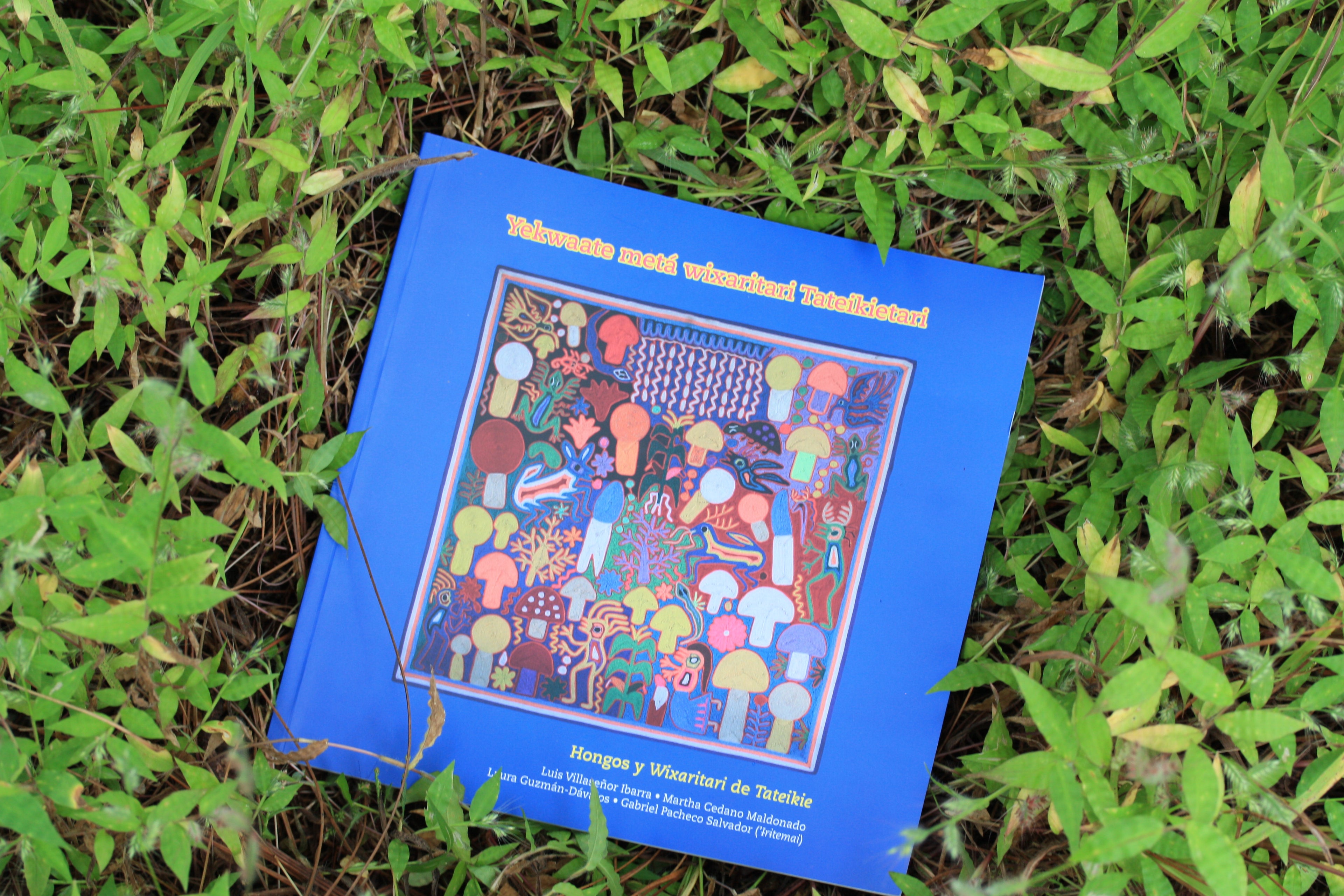 Libro "Hongos y Wixaritari de Tateikie"