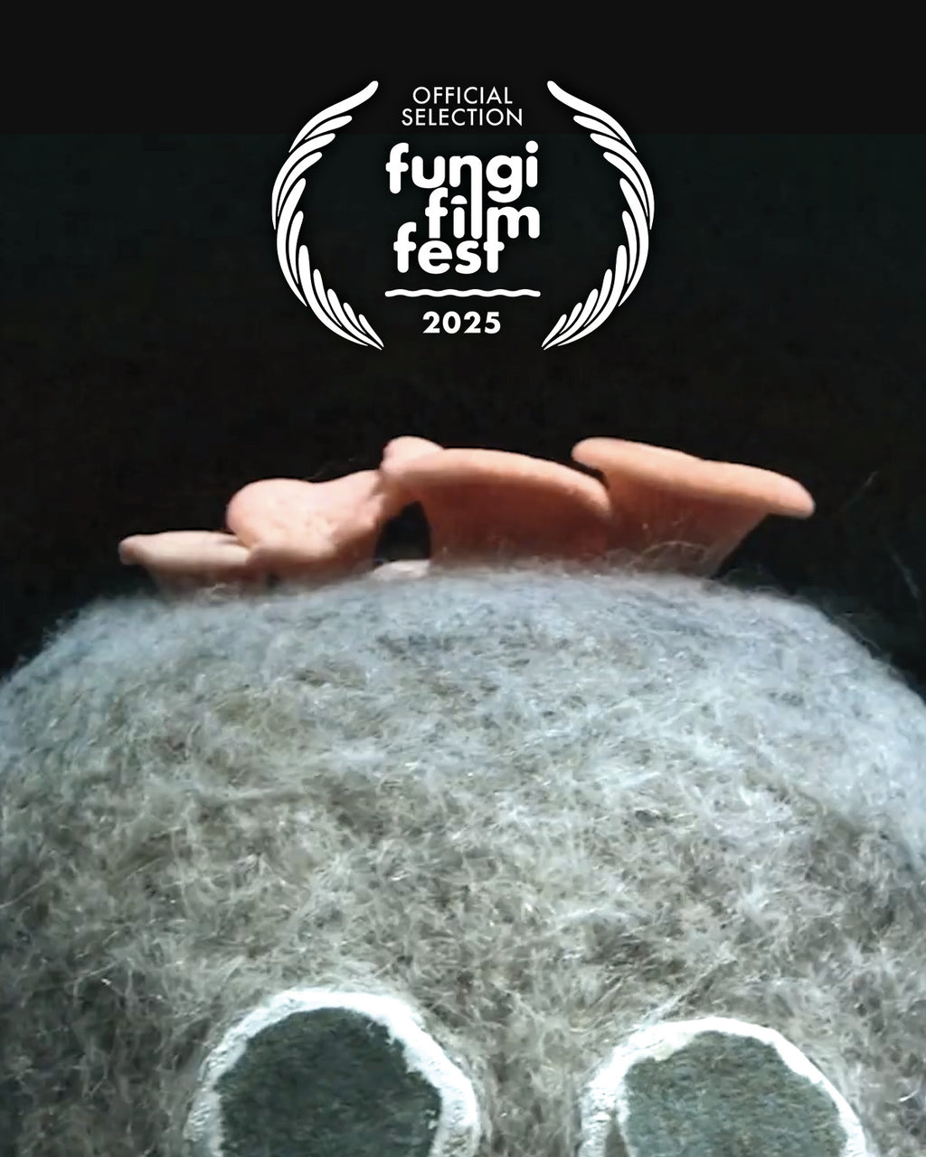 FUNGI FILM FESTIVAL 2025