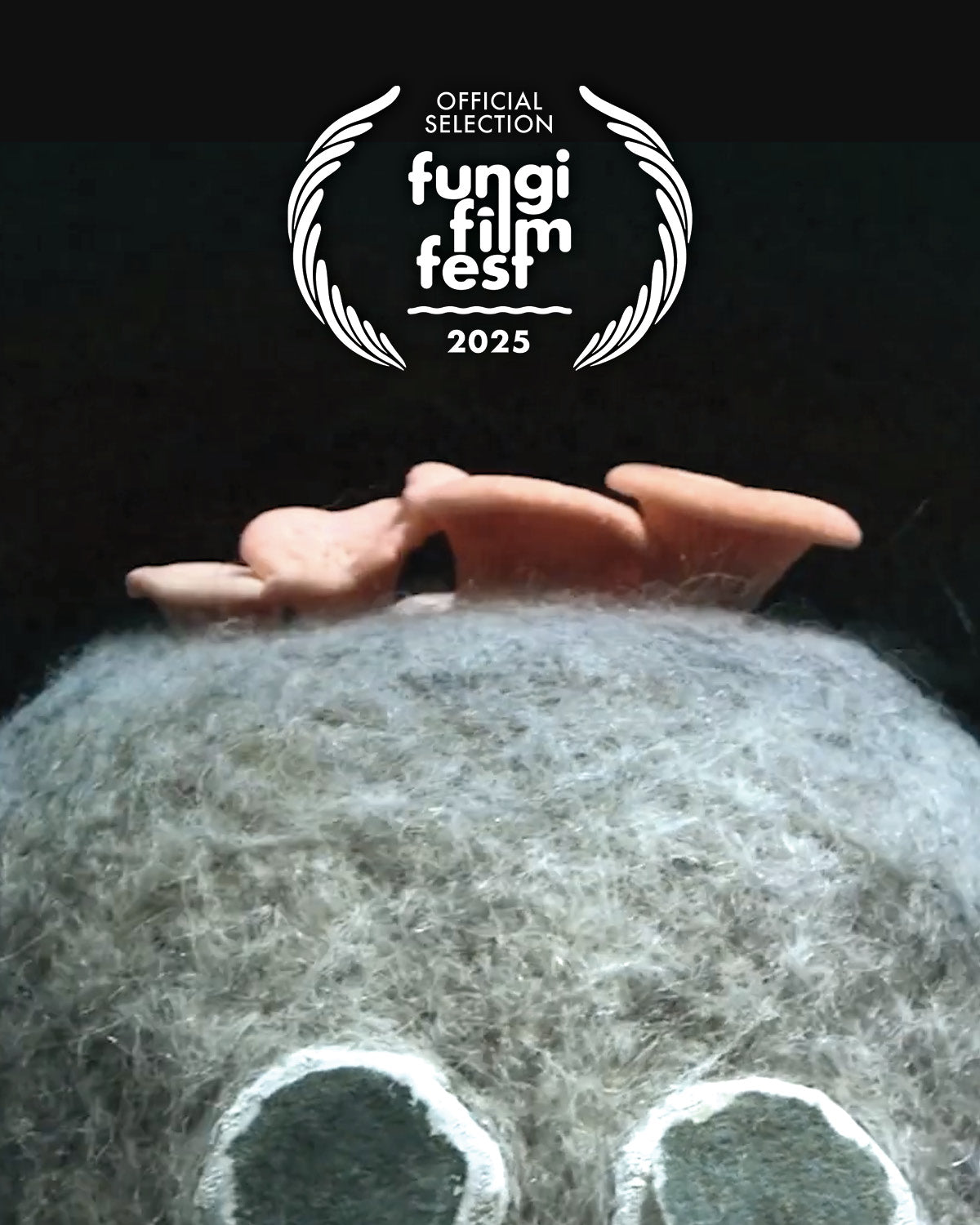 FUNGI FILM FESTIVAL 2025