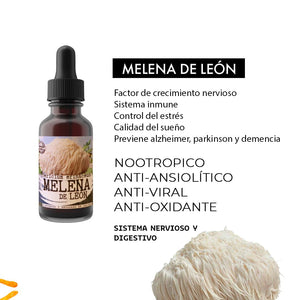 Abrir la imagen en la presentación de diapositivas, EXTRACTO DE MELENA DE LEON ( LIONS MANE )
