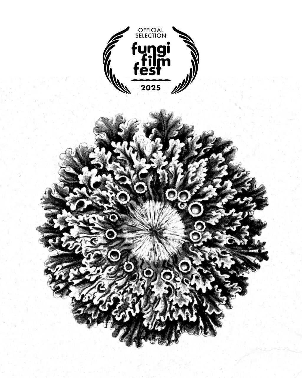 FUNGI FILM FESTIVAL 2025