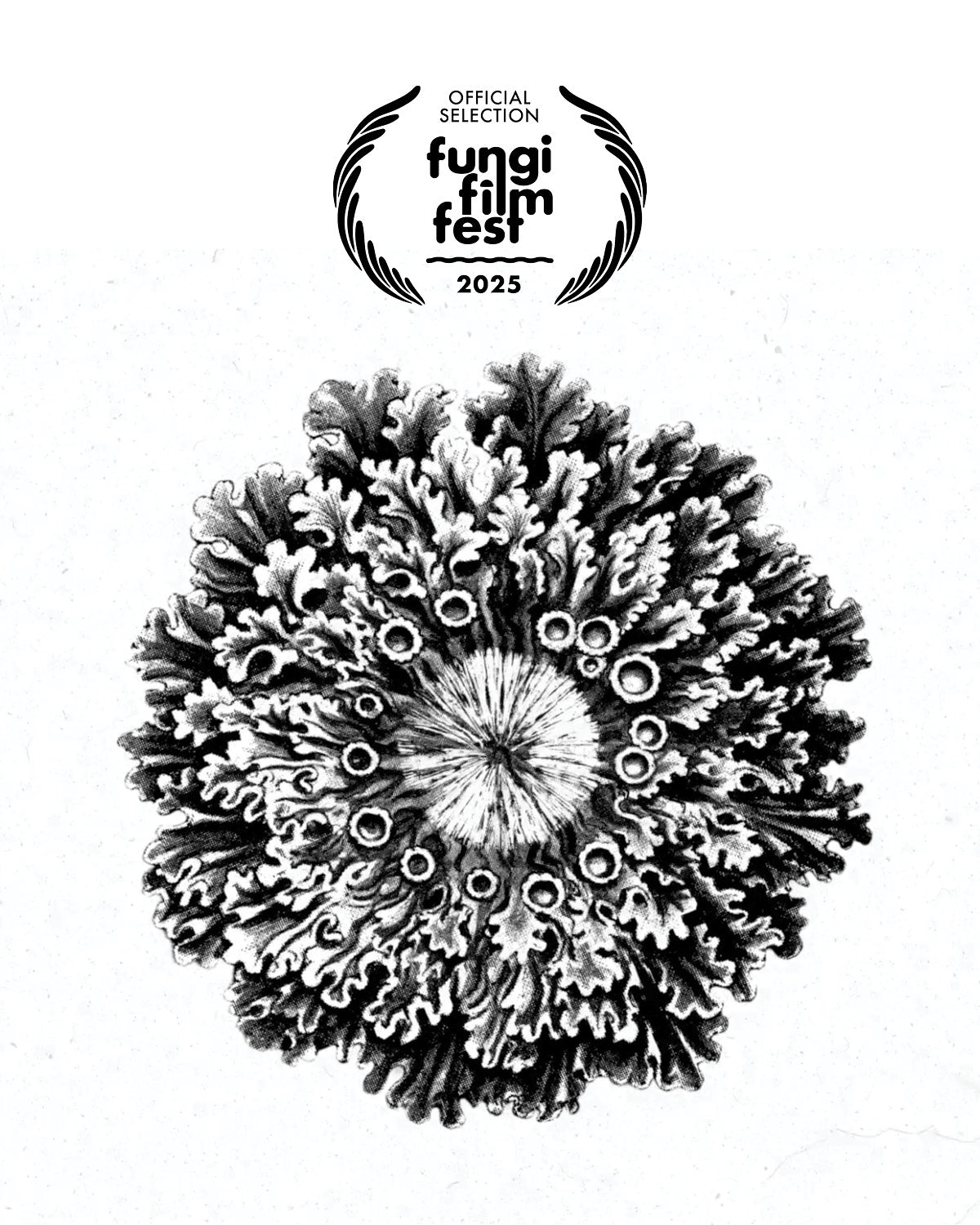 FUNGI FILM FESTIVAL 2025