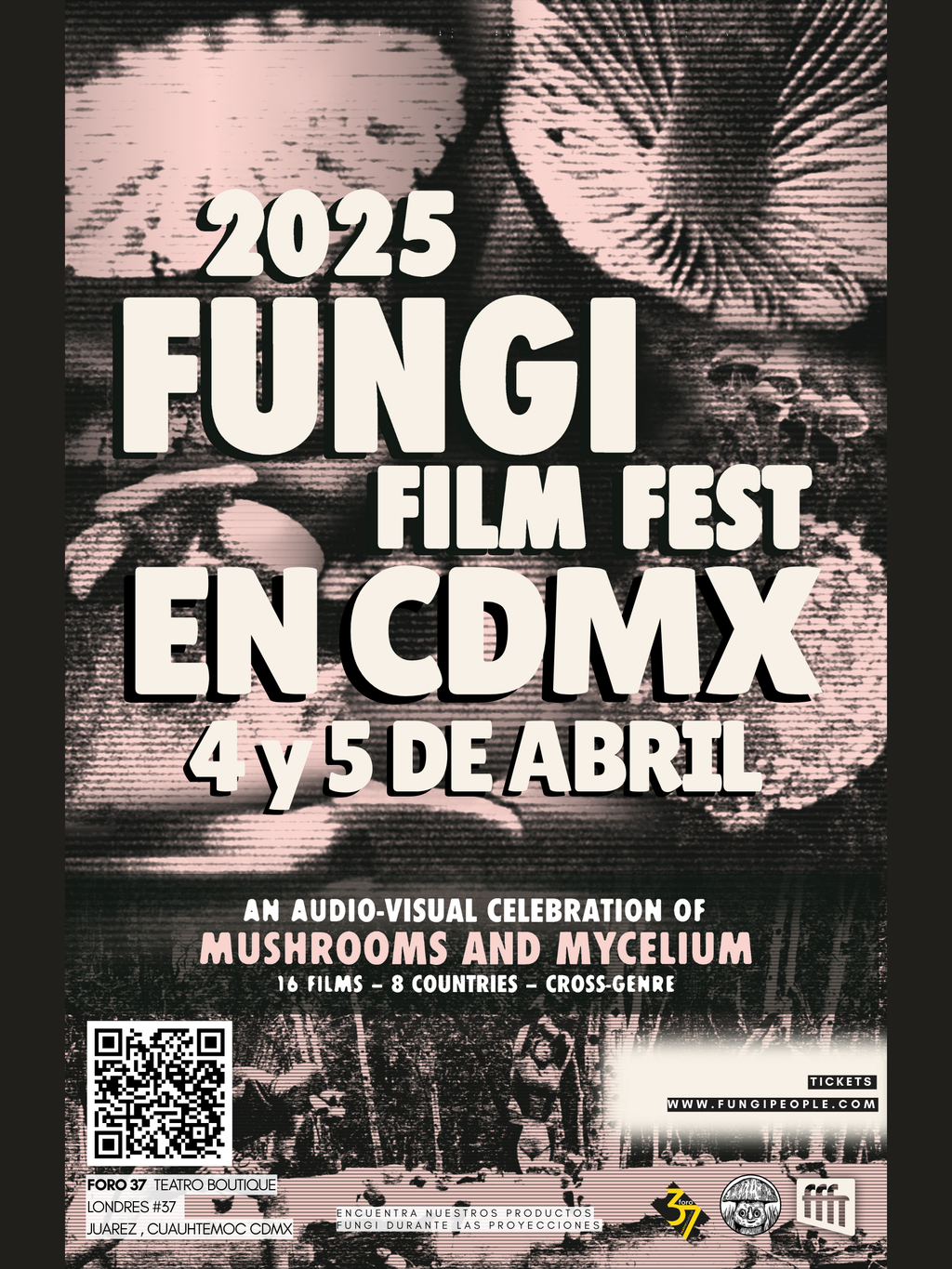 FUNGI FILM FESTIVAL EN CDMX 2025 🍄